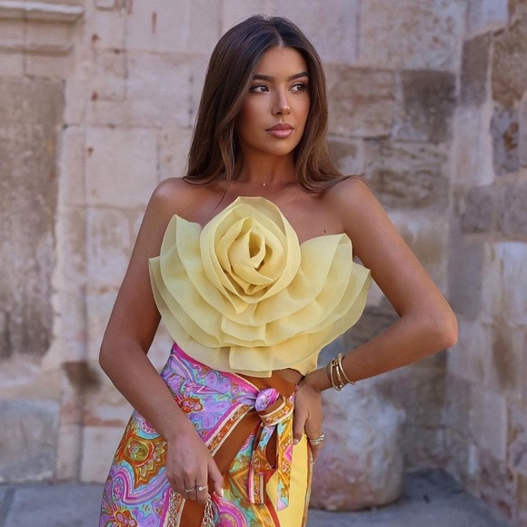 Zara Tops Nwt Zara Floral Organza Top Poshmark